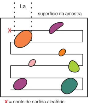 Figura 2  –  Método de Rosival ilustrando a grade de linhas paralelas sobre a superfície da amostra