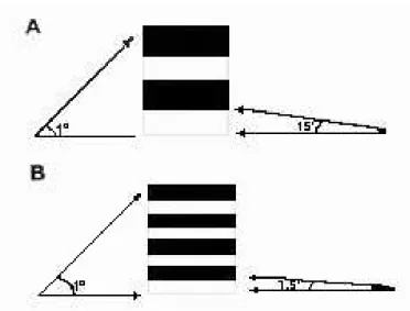 Figura 2 –   AV expressa em cpg e MAR. A acuidade do observador à esquerda é dada em  cpg o que expressa o número de ciclos (um ciclo é formado por uma barra preta  e uma branca) vistos dentro de um campo visual de 1º