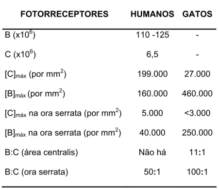 Tabela 3 – Concentração de fotorreceptores em seres humanos e em gatos 