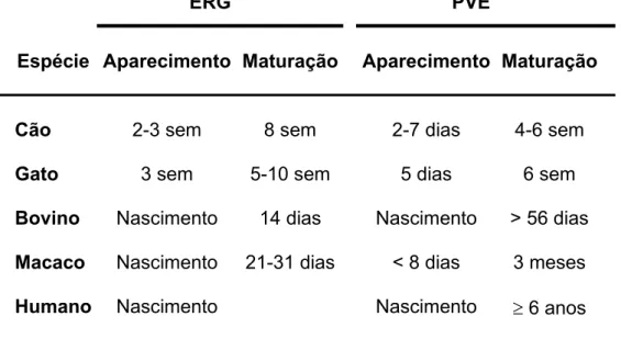 Tabela 6 –   Idade de aparecimento e maturação do ERG e PVE em algumas espécies  de mamíferos 