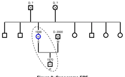 Figura 3: Genograma ERF 