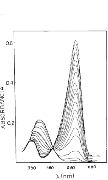 FIGURA 5 - Espectros de absorção de uma mistura de azul de bromotimol e verde de bromocresol, O,lrng/ml de cada corante, em tampão fosfato lOmM, em função do comprimento de onda