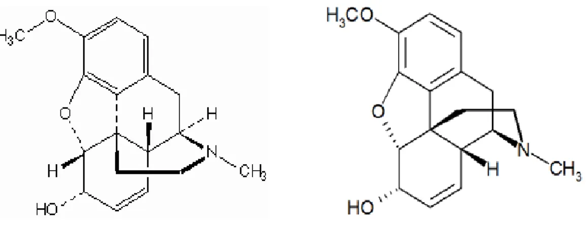 Figura 2.2   –   Isômeros da codeína 