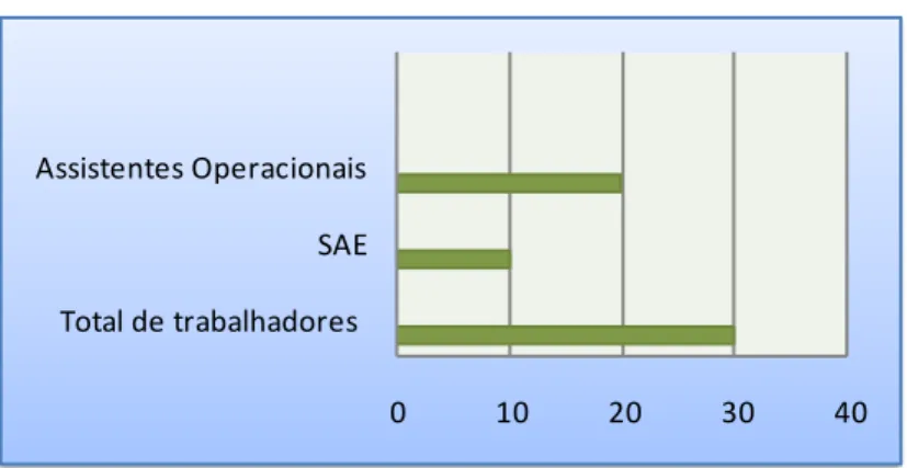 Gráfico 2  –  Faixa etária do pessoal não docente 