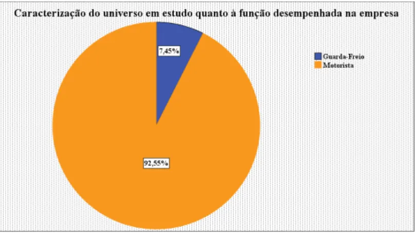 Gráfico 5  –  Caracterização do universo em estudo quanto à função desempenhada na empresa 