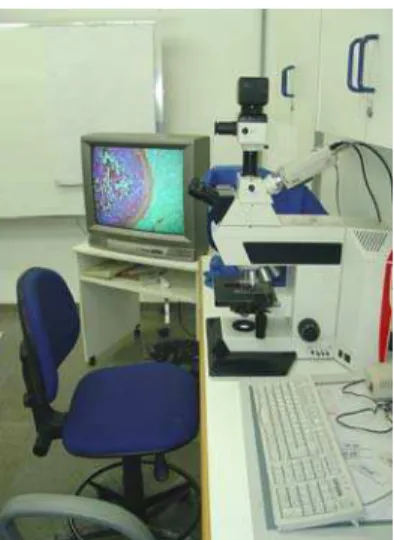 Figura 4 – Sistema de análise digital da imagem, composto por: (a) microscópio  equipado com câmera de vídeo; e (b) acoplado a um monitor e a um  computador com programa de análise de imagens