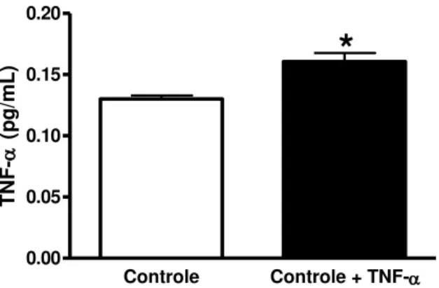 Figura  10. Níveis plasmáticos de TNF-α.  As barras dos gráficos representam a medida plasmática de TNF- α  em animais  controle (n=5) e infundidos com TNF-α (n=5) (220 ng.Kg -1 .min -1 , durante 14 dias)