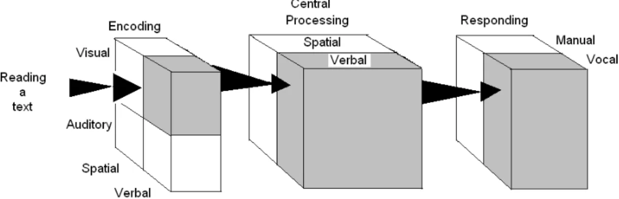 Figure 6. Scheme of reading aloud process, explained throughout the multiple-resource model  (Wickens, 1984) 