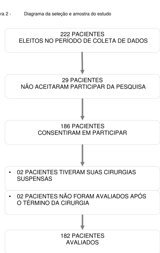 Figura 2 -  Diagrama da seleção e amostra do estudo 