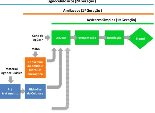 Figura  2.2  –  Principais  matérias-primas  e  processos  utilizados  para  a  produção  de etanol (Adaptado de Bioenergy today and tomorrow, 2010)