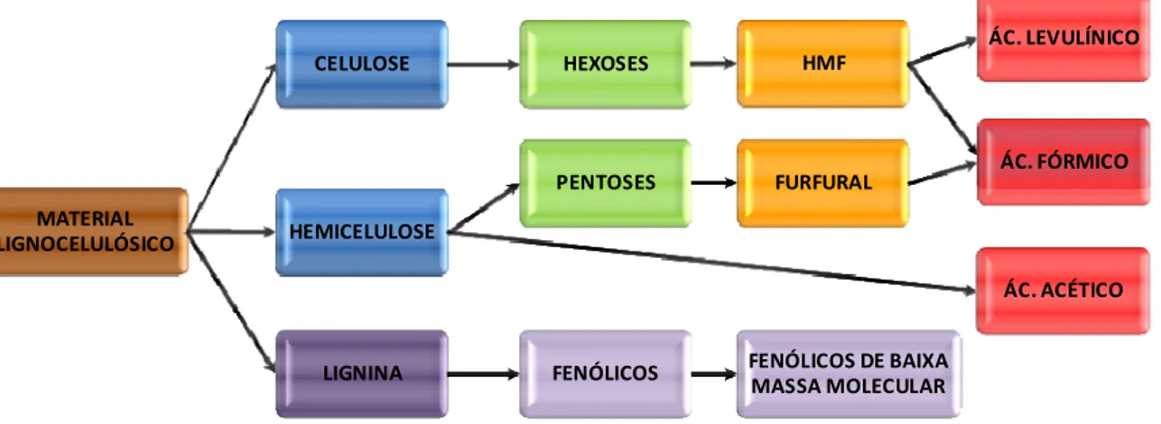 Figura  2.4  -  Principais  produtos  de  degradação  gerados  durante  o  processo  de  fracionamento de materiais lignocelulósicos (Adaptado de BALAT, 2011)