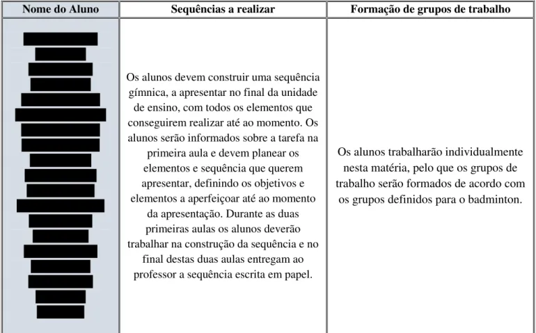 Tabela 10 - Ginástica de solo: objetivos individuais e formação de grupos de trabalho.