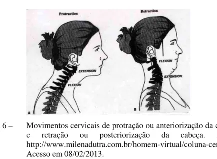 Figura 6 –  Movimentos cervicais de protração ou anteriorização da cabeça  e  retração  ou  posteriorização  da  cabeça