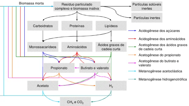 Figura 3.2. Processos bioquímicos implementados no modelo de digestão anaeróbia  IWA ADM1 (Batstone et al., 2002)