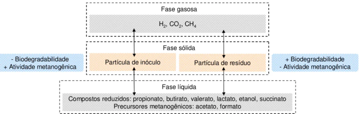 Figura 3.5. Modelo conceitual da fermentação anaeróbia do estado sólido em duas partí- partí-culas (Kalyuzhnyi et al., 2000)