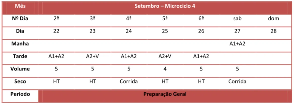 Tabela 15 - Microciclo 4 do primeiro macrociclo 
