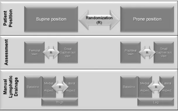 Figure 7 - Randomization for vascular ultrasound assessments during leg and thigh  manual lymphatic drainage 