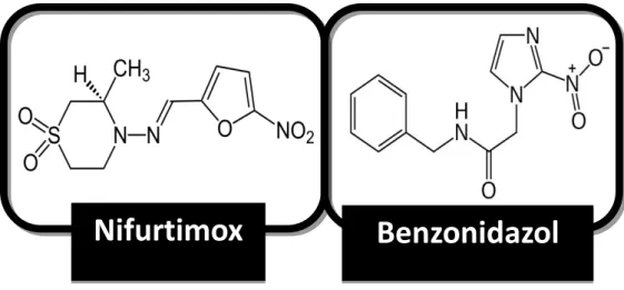 Figura 5: Estruturas químicas dos fármacos disponíveis para tratamento da  doença de Chagas: NFX e BZN