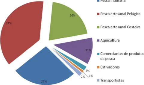 Figura 32 -  Categorias das atividades da pesca no que se refere a emprego 