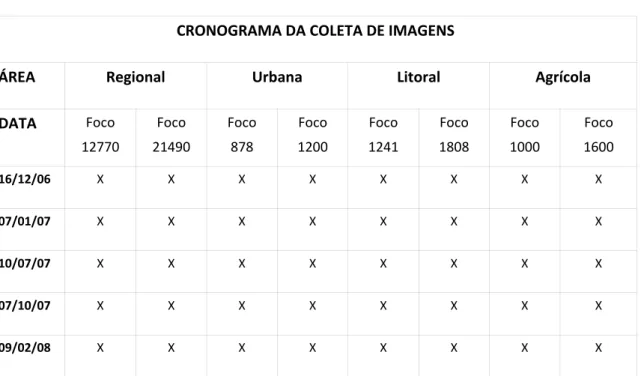 Tabela 4.1. Cronograma e coleta de imagens para análise de geo-processamento  CRONOGRAMA DA COLETA DE IMAGENS 