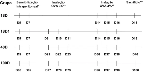 Figura 1. Protocolo de Sensibilização. (D = Dias de vida). 
