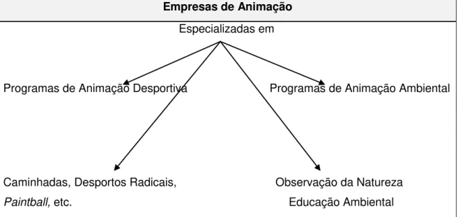 Figura 2  –  Tipos de Empresas de Animação (cit in Turismo em Portugal) 