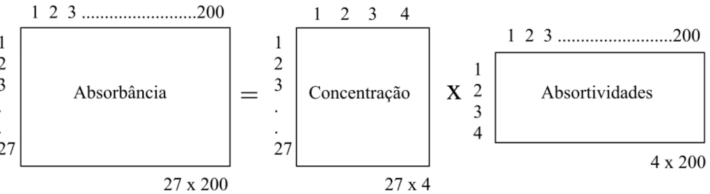 Figura 1.22 – Esquema simplificado para CLSR considerando 4 analitos, 27 padrões e 200 números de onda ração