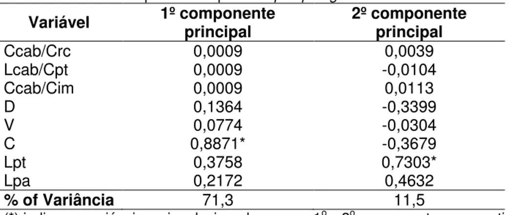 Tabela 8:  Porcentagem da variação explicada por cada uma das variáveis ao longo dos dois  primeiros  componentes  principais  dos  dados  não-transformados  para  a  amostra  de  machos  das duas UTOs definidas para o complexo Ecpleopus gaudichaudii: