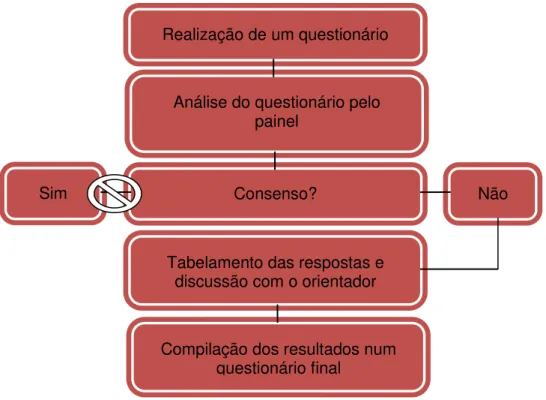 Figura 3: Representação esquemática da adaptação do processo de Delphi 