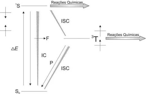 Figura 1 - Diagrama de Jablonski modificado, ilustrando os diferentes processos  fotofísicos que ocorrem a partir da irradiação de um fotossensibilizador na TFD (redesenhado  a partir de Mayia (2000))