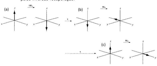 Figura  7  – Representação  vetorial  da  evolução  da  magnetização na  sequência  de  pulso Inversão-recuperação