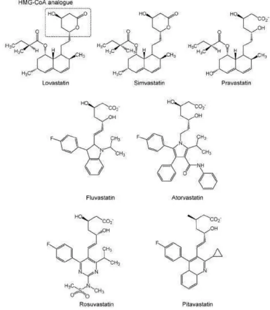 Figura 3 Estrutura química das estatinas empregadas clinicamente. 