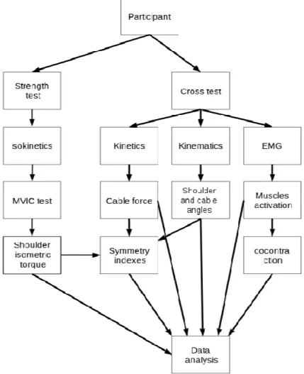 FIGURE 4 - Setup of procedures applied on this thesis. 