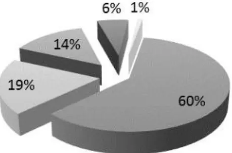 Gráfico 2 - Composição dos custos do HCFMRP-USP - 2013. 