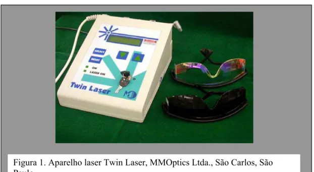 Figura 2. Pontos de aplicação do laser na ATM. Dispositivo desenvolvido  por PIZZO et al