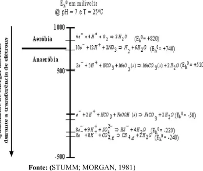 Figura 3.2: Ordem de utilização de receptores de elétrons segundo a  hierarquia termodinâmica 