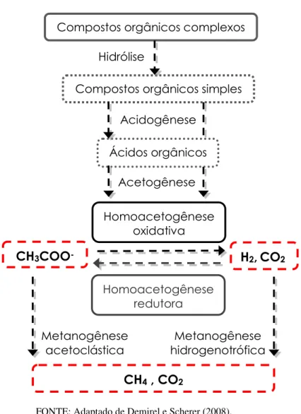 FIGURA  5.4.  Representação  esquemática  da  degradação  anaeróbia  de  compostos orgânicos