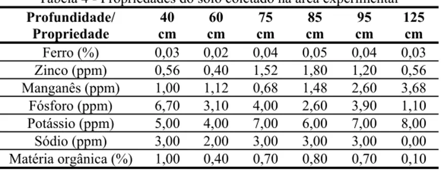 Tabela 4 - Propriedades do solo coletado na área experimental  Profundidade/  Propriedade  40  cm  60  cm  75  cm  85  cm  95  cm  125 cm  Ferro  (%)  0,03 0,02 0,04 0,05 0,04 0,03  Zinco  (ppm)  0,56 0,40 1,52 1,80 1,20 0,56  Manganês  (ppm)  1,00 1,12 0,