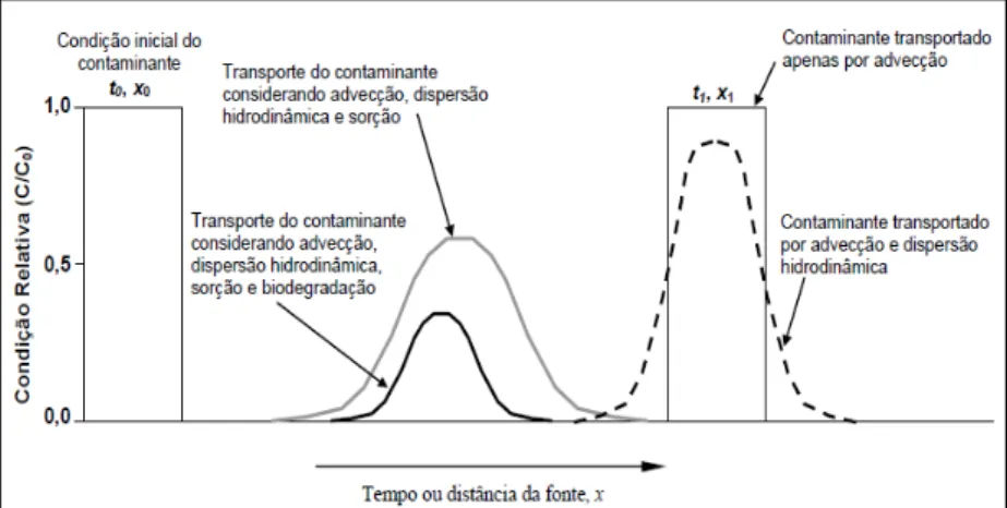 Figura  1:  Representação  da  influência  dos  processos  de  transporte  (advecção e dispersão hidrodinâmica com sorção e biodegradação) sobre  a concentração de um contaminante em sistema de fluxo unidimensional