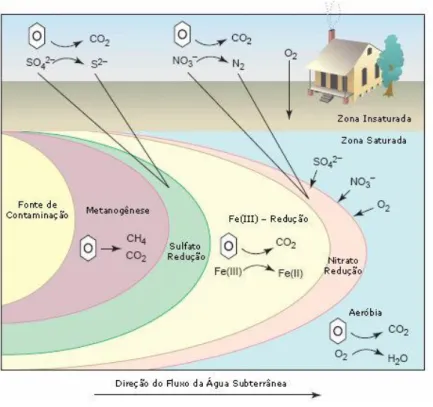 Figura 3: Ordem de utilização dos receptores de elétrons em um aquífero  contaminado por hidrocarbonetos de petróleo