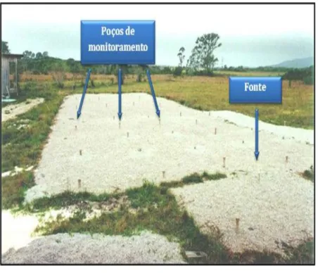 Figura 7: Área experimental com liberação controlada de gasolina, Fazenda  Ressacada. 