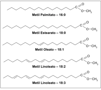 Figura 1 - Fórmula estrutural dos principais componentes do biodiesel. 