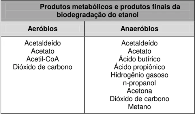 Tabela 3 - Produtos metabólicos e produtos finais da biodegradação do etanol. 