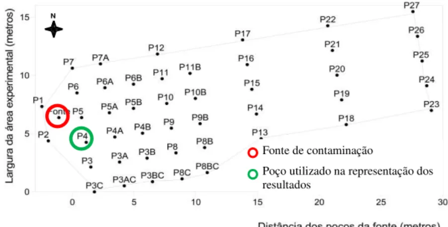 Figura 7 - Disposição dos poços no experimento E24. 