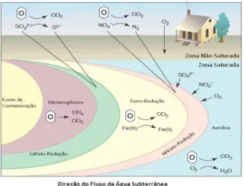 Figura  3  -  Distribuição  espacial  dos  processos  de  óxido-redução  presentes  em  aquíferos  contaminados  com  derivados  de  petróleo
