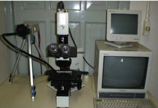 Figura 5:  Equipamento usado no Laboratório de Poluição Atmosférica para mensuração da  FBC das CNMs: (1) Estroboscópio; (2) câmera filmadora; (3)  microscópio óptico; 