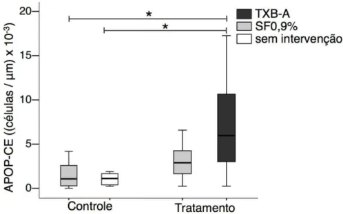 Gráfico 1: Quantidade de células apoptóticas na camada externa (APOP-CE) das conchas  nasomaxilares