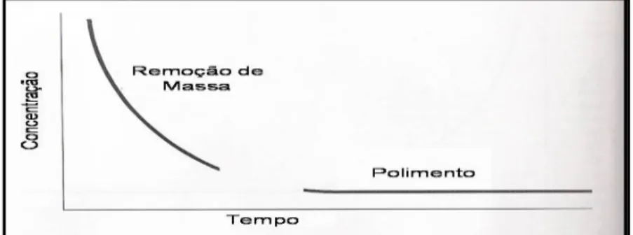 Figura 7 - Curva Modificada do Ciclo de Vida de um projeto de remediação  (Fonte: Adaptado de Nyer, 1998) 