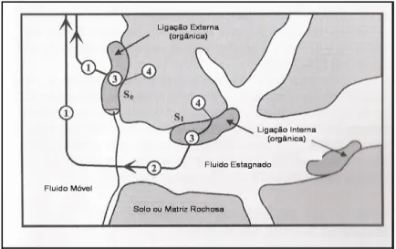 Figura 10 - Transporte de contaminantes em aqüíferos   (Fonte: Adaptado de Nyer, 1998)