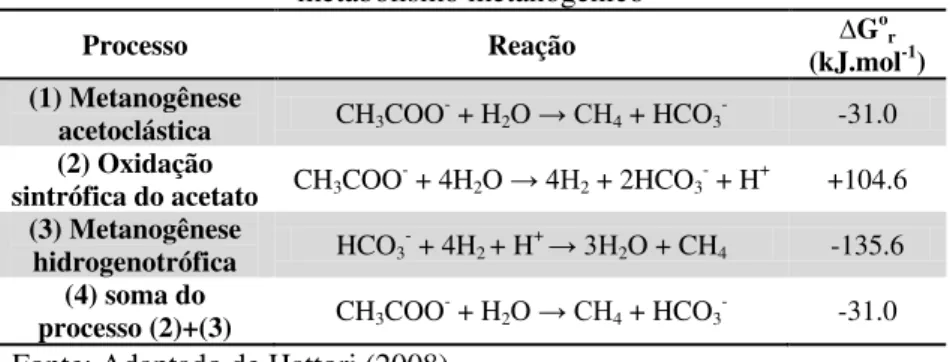 Tabela 2.4 - Possíveis destinos do acetato e do hidrogênio no  metabolismo metanogênico 